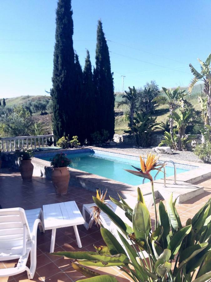 Villa De La Rosa Малага Екстериор снимка